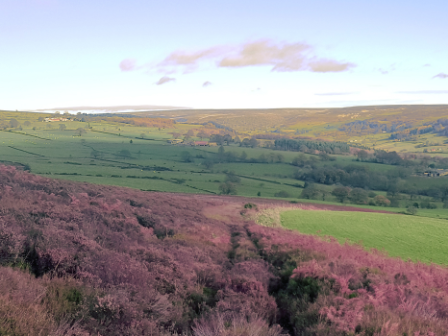 Family Riding North Yorkshire